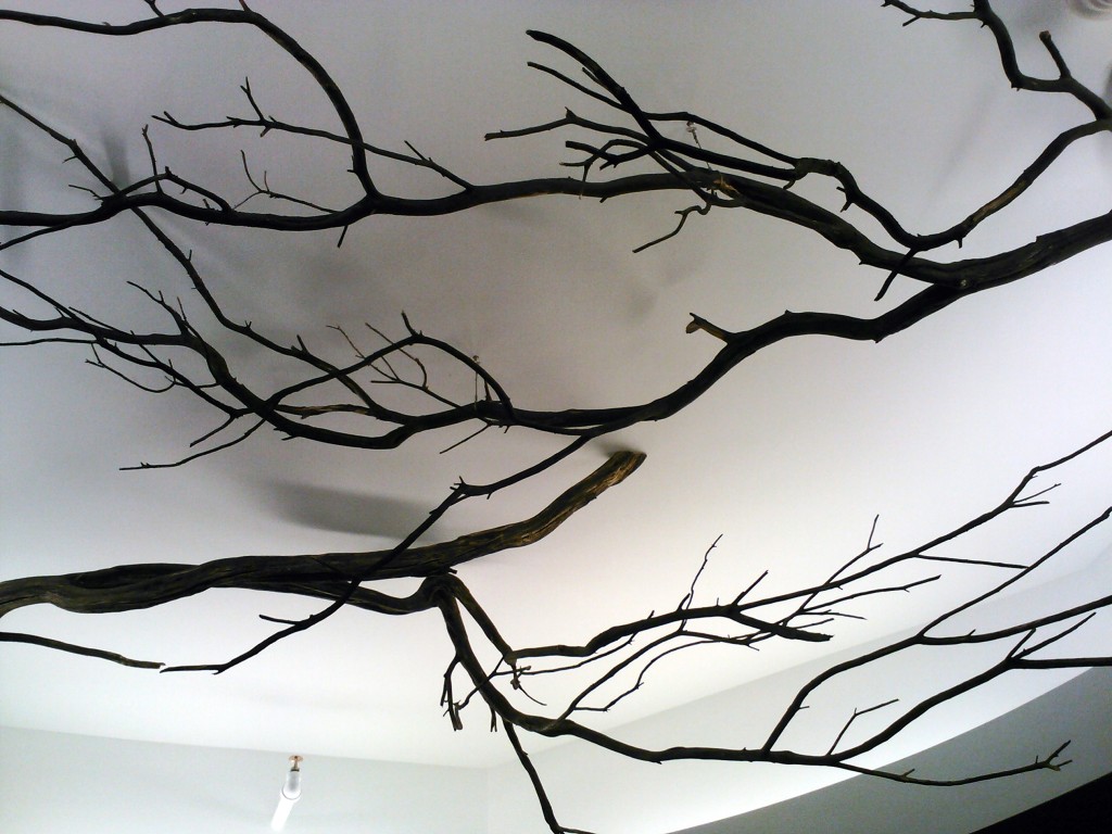 ceiling-branches