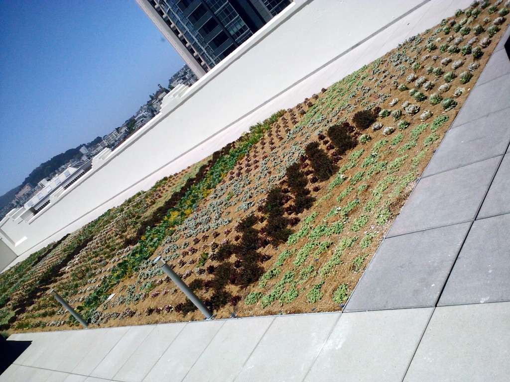 roof-garden-twitter