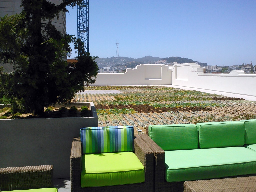twitter-roofdeck-couches