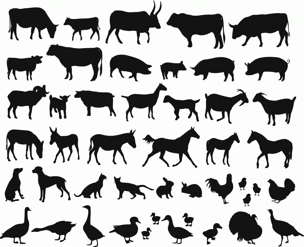 animals-1024x831.gif
